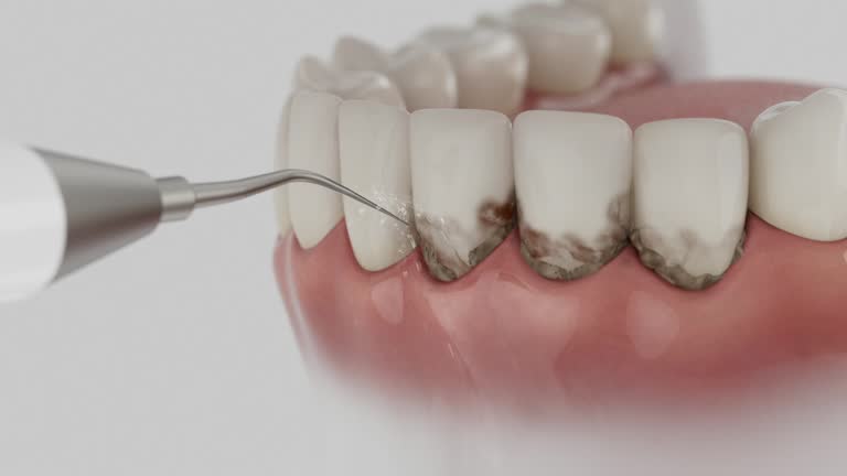 Reliable Dental contractor in Allen Park, MI by Dentist Open Now